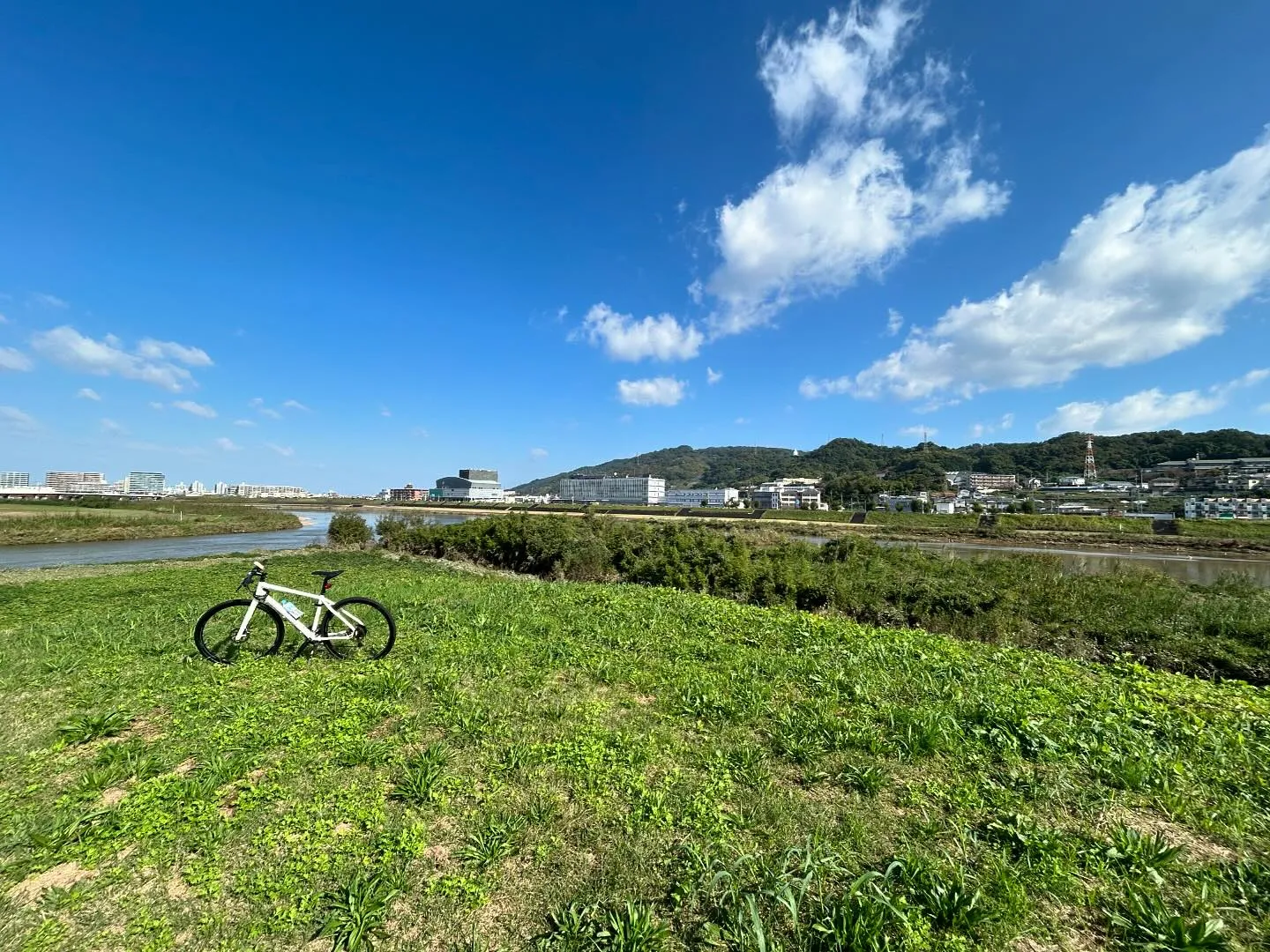 岸田法務事務所です。