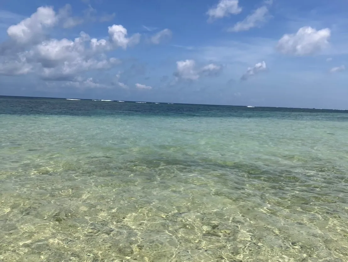 相続登記の義務化や住所等変更登記の義務化について