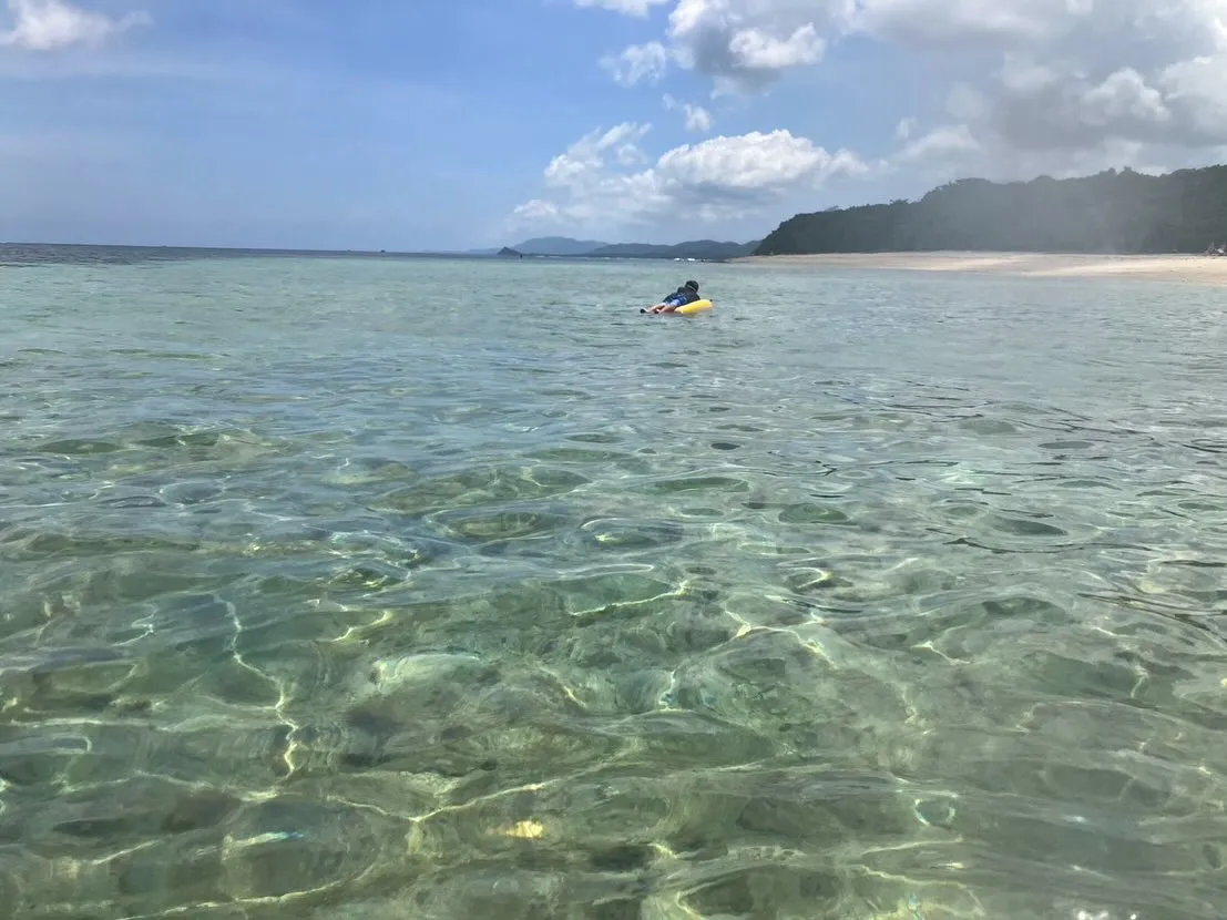 相続登記の義務化や住所等変更登記の義務化について