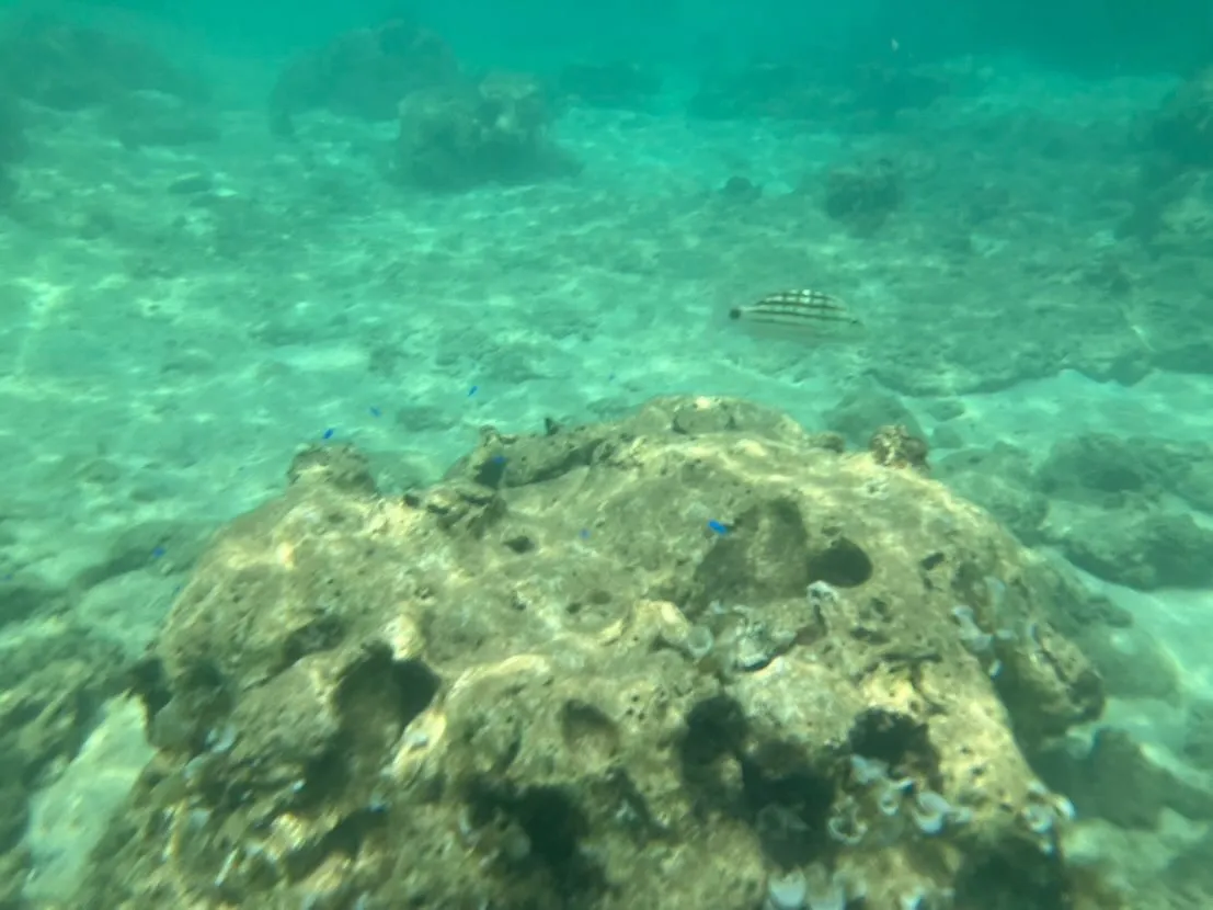 相続登記の義務化や住所等変更登記の義務化について